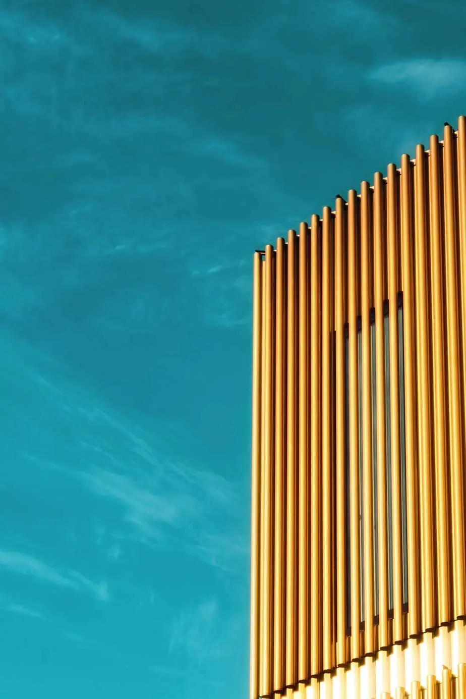 WHITEBOX Capital real estate investment